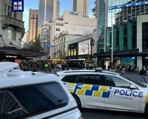 女人自熨全过程免费视频网站
